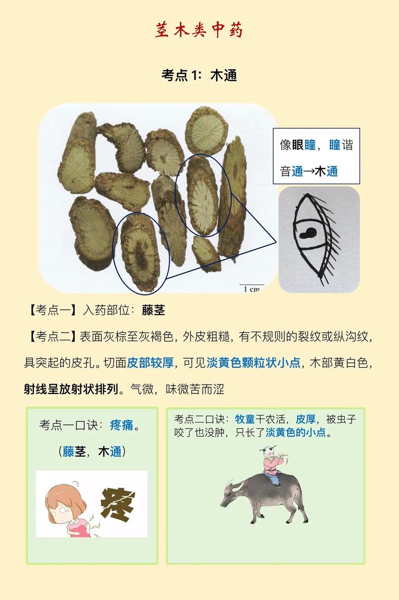 悉瑞印度代购希爱力是真的吗？避坑指南与正品鉴别全攻略